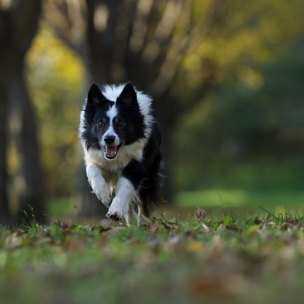 relazione naturale_edited.jpg
