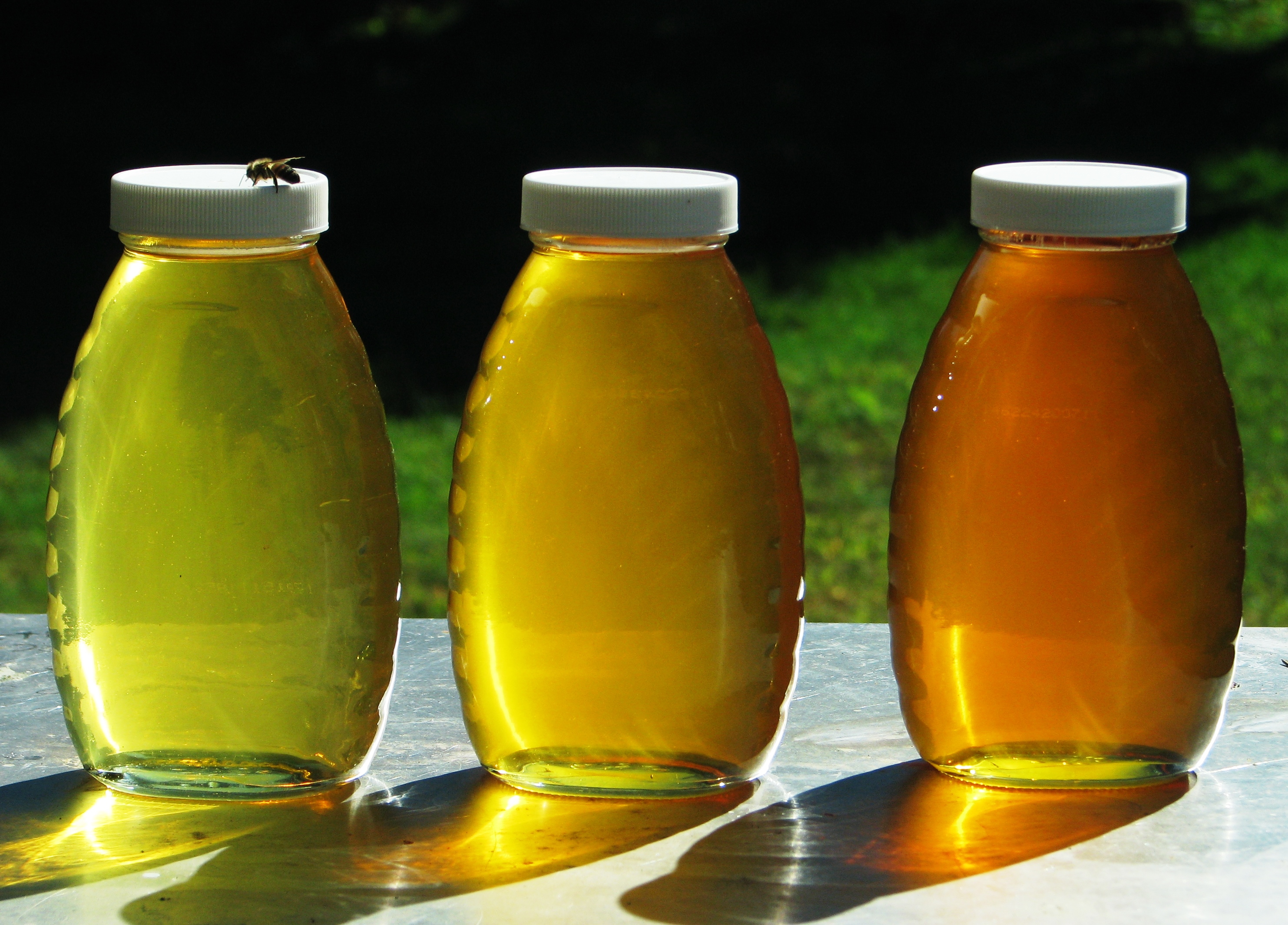 Seasonal extractions