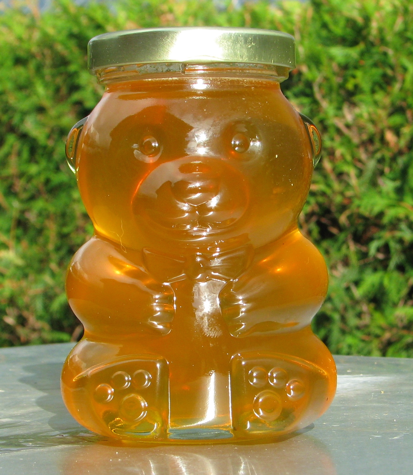 Honey bear 13 oz.