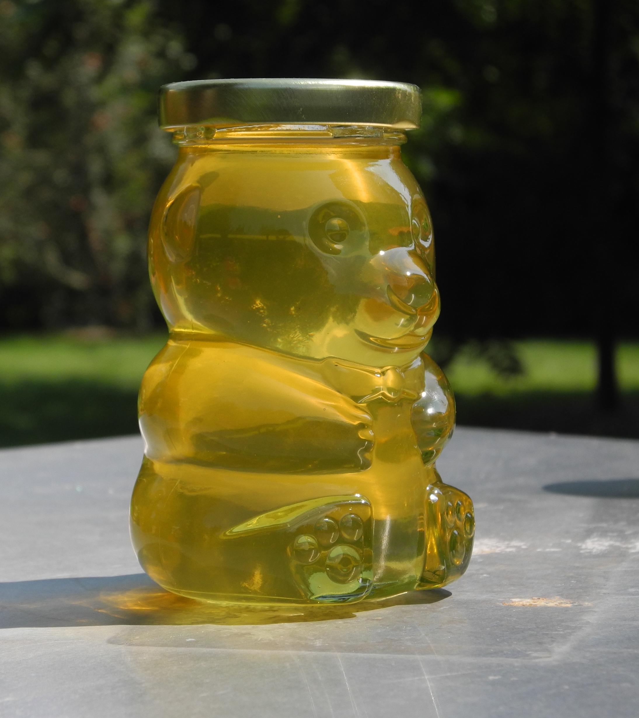 Early season Honey Bear