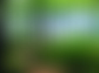 10 WAYS TO PROTECT KEOKA – A series