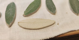 feuille de sauge en porcelaine