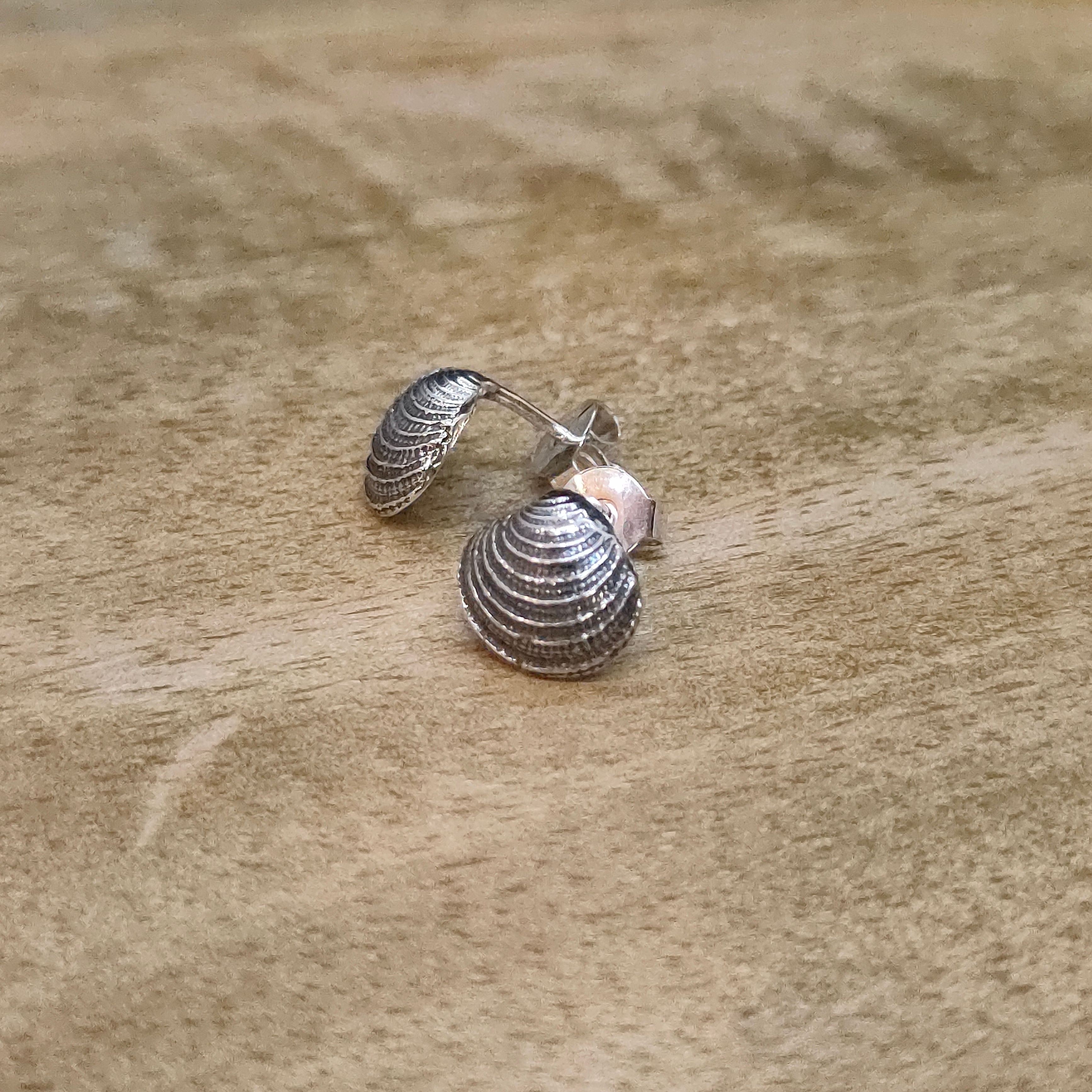 Clous d'oreilles Praire Argent 925