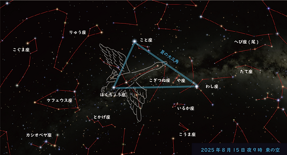 星空（プロフィール必読で）さま専用 星空（プロフィール必読で）さま専用 星空（プロフィール必読で）さま