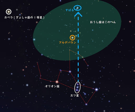 星空入門者必見！】季節の星座紹介～おうし座～