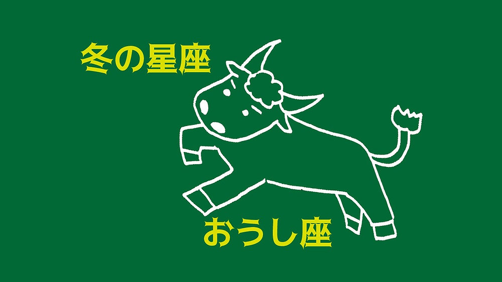 星空入門者必見！】季節の星座紹介～おうし座～