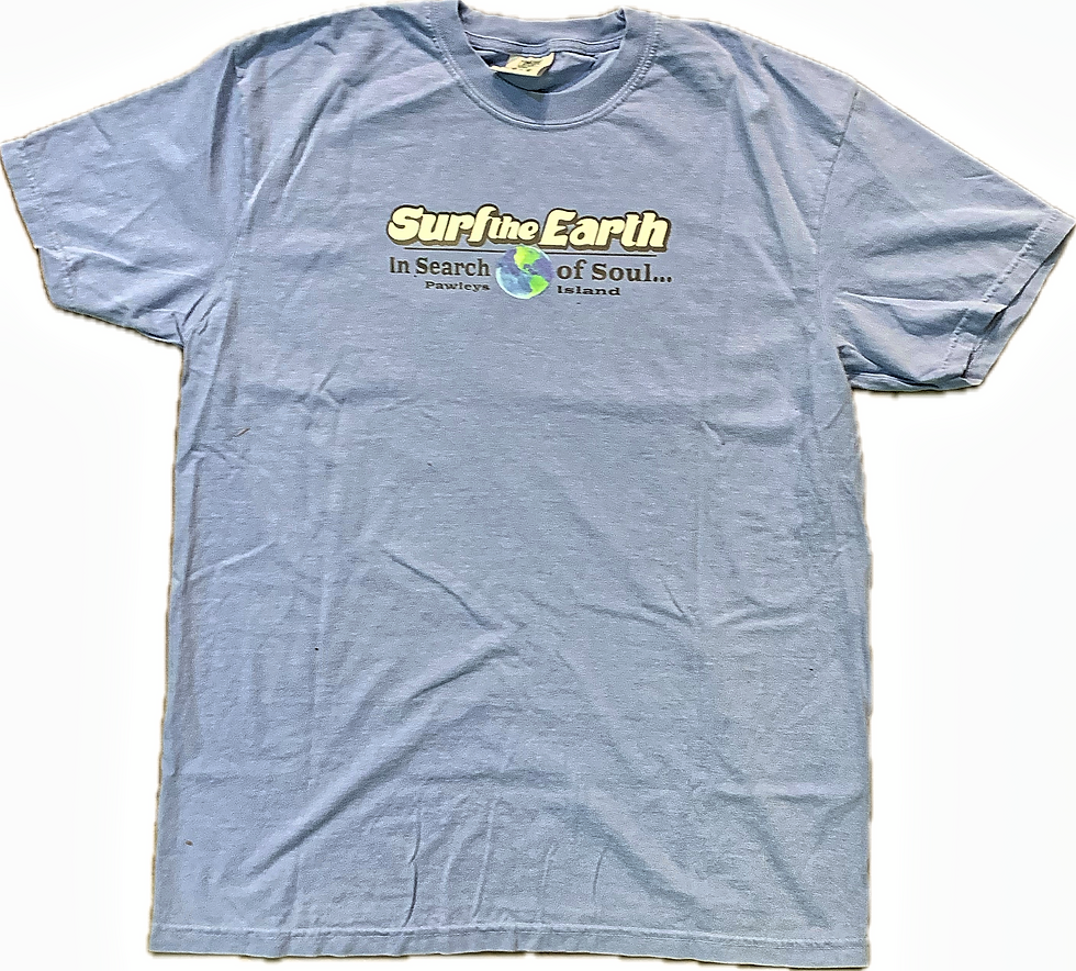 Thumbnail: Surf The Earth - Blue - Earth