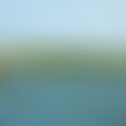 Surf The Earth North Inlet Kayak Tour