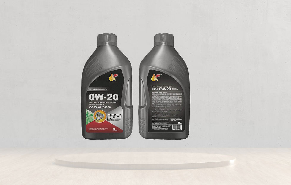 k9  0w20 1L _edited.jpg