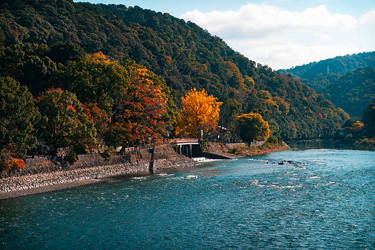 Autumn_24.jpg