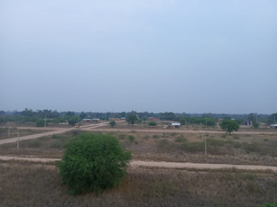 landschaft FIl.jpeg