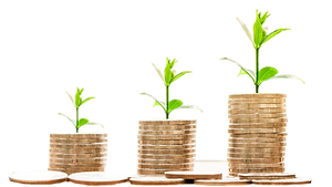 Soldi che crescono