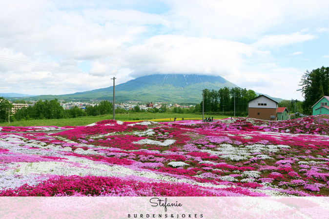 Japan 2016 Day 14: Refreshing & Flower Viewing at Kutchan, Niseko