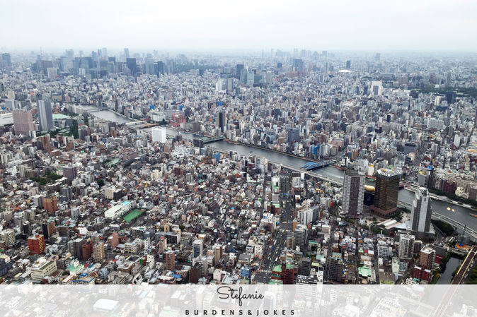 Japan 2016 Day 16: Eating In Central Tokyo