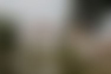 2 Alpakas, Schuhe voll Sand und Regen mit Sonne