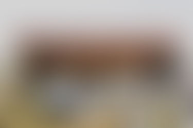 Zwischen Blumenbeet und Kräutergarten