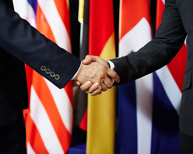 Handshake With Flags
