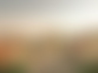 june wedding mallorca sr events