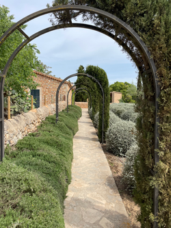 Wedding Finca 1 (14)