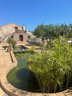 Wedding Venue Mallorca Finca Amor (13)