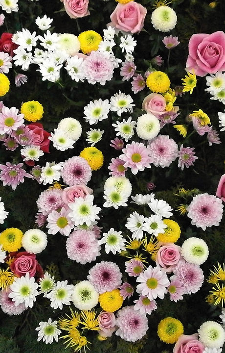 Aqui você conhece nosssos serviços prestados ao adquirir o Plano Certo Assistência Funerária. Confira e adquira o seu!