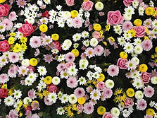 Fleurs