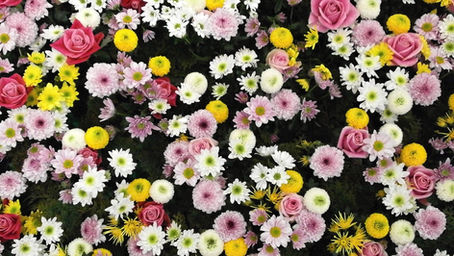 15 Jokes About the Spring Season