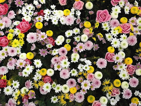 Fleurs