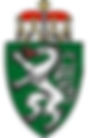 Styria Logo.jpg