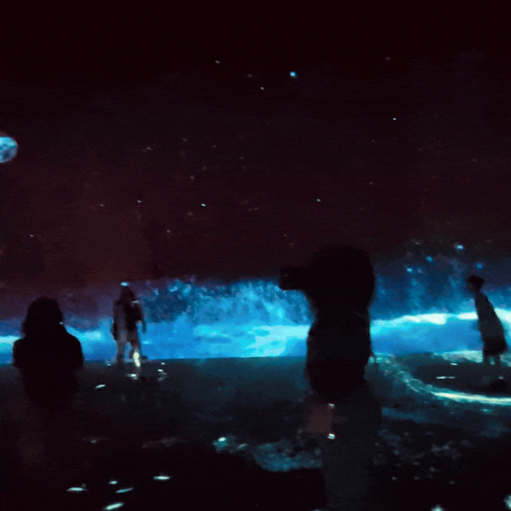 Whale Exhibition