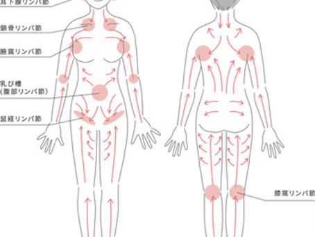 ただ流すだけじゃない「痩身リンパ」が選ばれる理由
