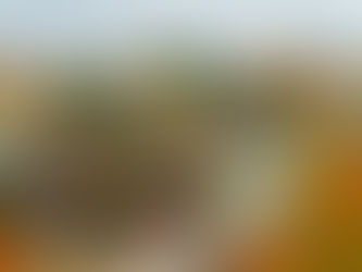 Bourses et frais de scolarité de l'Université Aalto pour les étudiants internationaux en Finlande