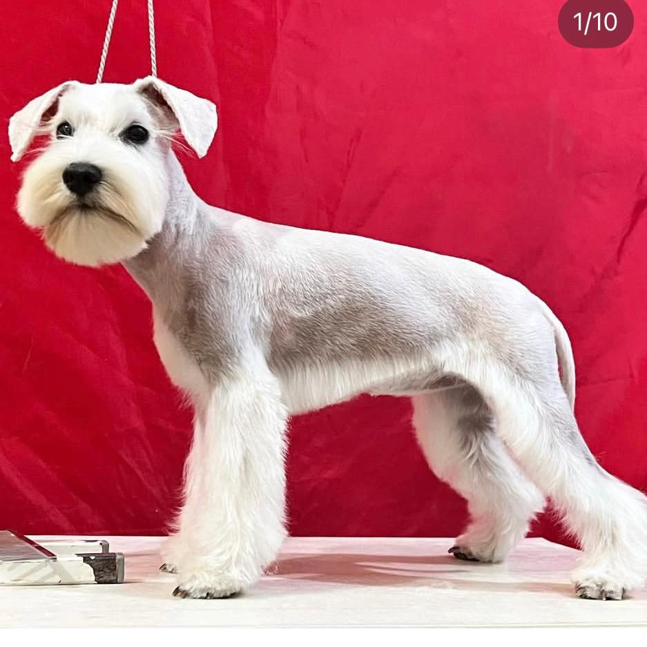 WhatsApp Image 2026-03-20 at 16.18.07