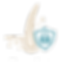 Nanoplasty.png