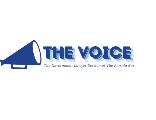 The Voice – Summer 2025 Edition