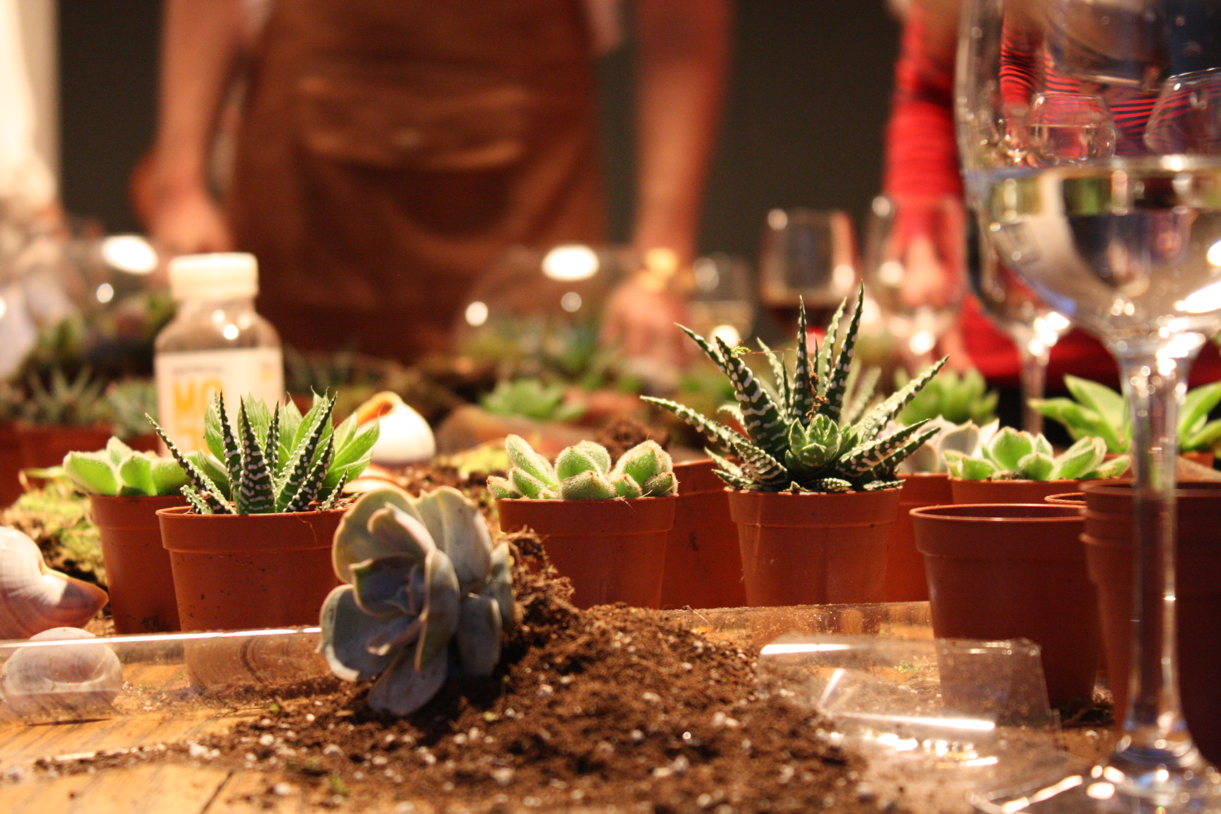 Terrarium Classes