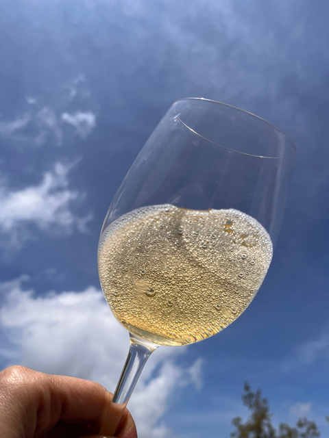 Sparkling White Wine, LebNat Gold, Leb Nat Gold, Petillant Naturel, Natural Sparkling Wine, PetNat, Pet Nat, Natural Wine, Prosecco, Sparkling Wine