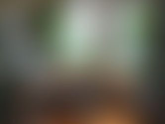 Plantas no Home Office: Mais Foco e Calma e Produtividade