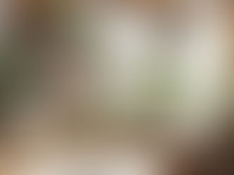 A Rotina do Lar Natural: Leveza e Eficiência