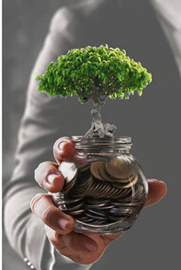 Arabic calligraphy featured in a community education campaign