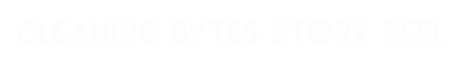Cleaning Bytes.png