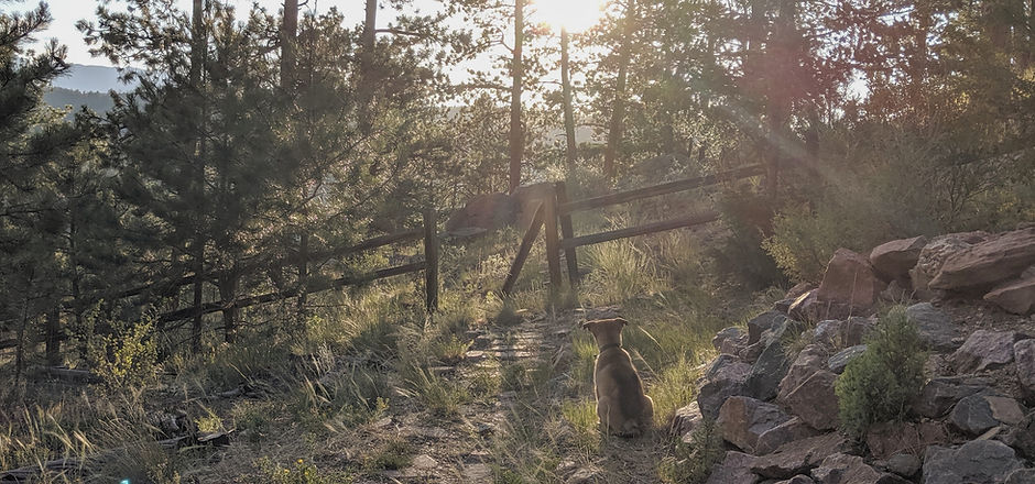 Gateway to the outlook