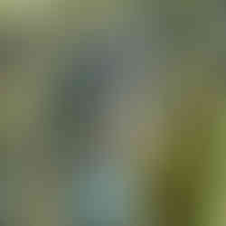 נקיק Raggaschlucht