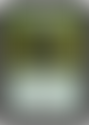 Overwhelming Stampede