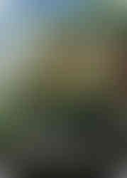 Magic: The Gathering green instant card. A merchant clutches cabbages mid-chaos as they’re flung or destroyed. Destroys an artifact or enchantment; its controller gains 4 life. Flavor text: “Ah! My cabbages!”