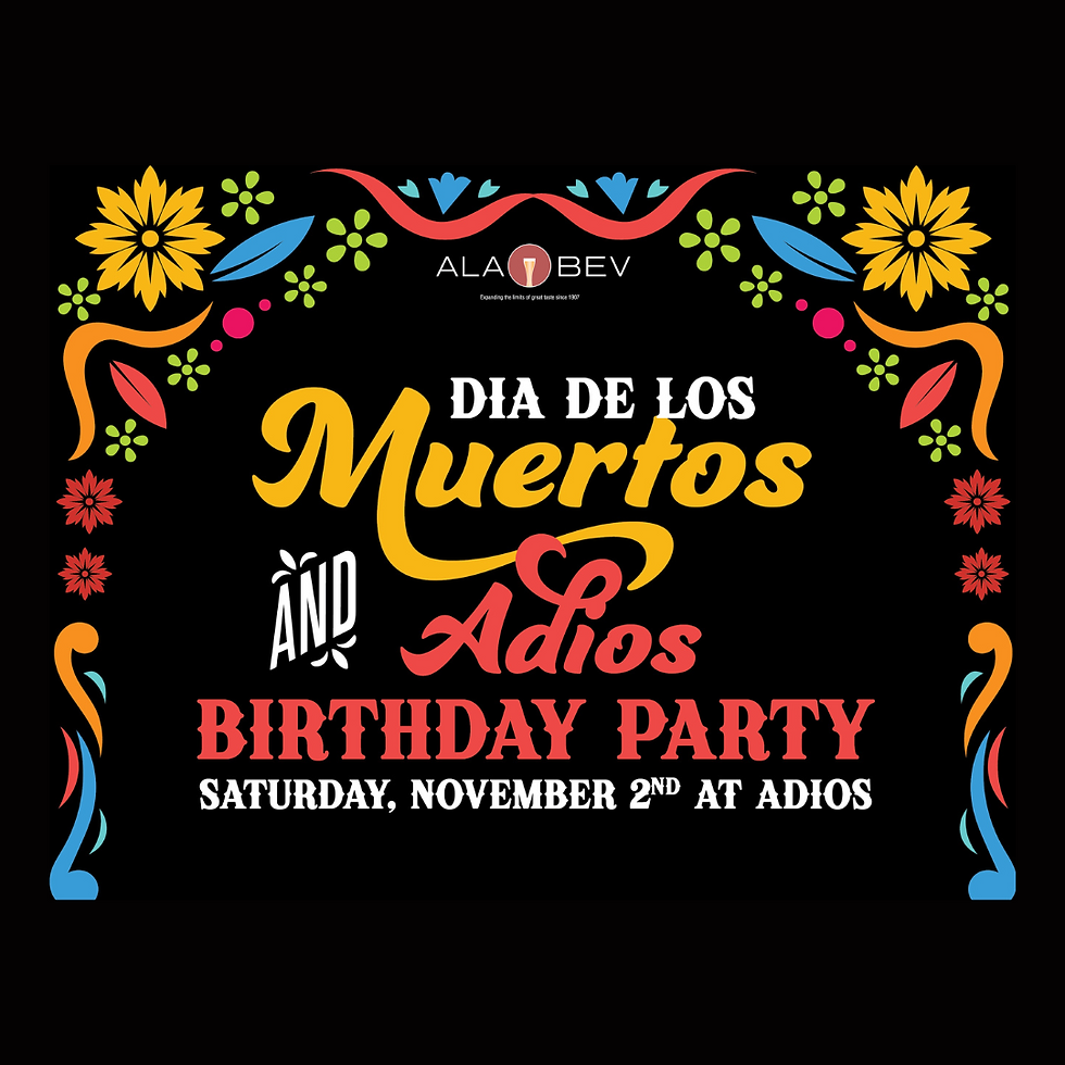 Dia de los Muertos and Adios Birthday Party