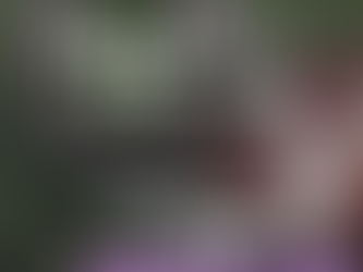 College Football Picks Wednesday 11/2