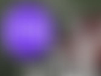 NFL Picks Week 12 Sunday 11/27