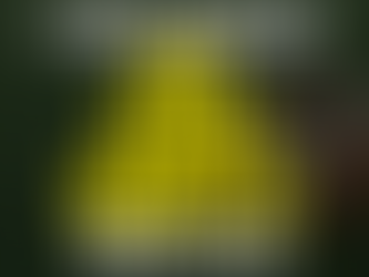 NFL Picks Week 13 Sunday 12/5