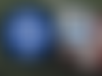 NFL Week 10 Bets Continued